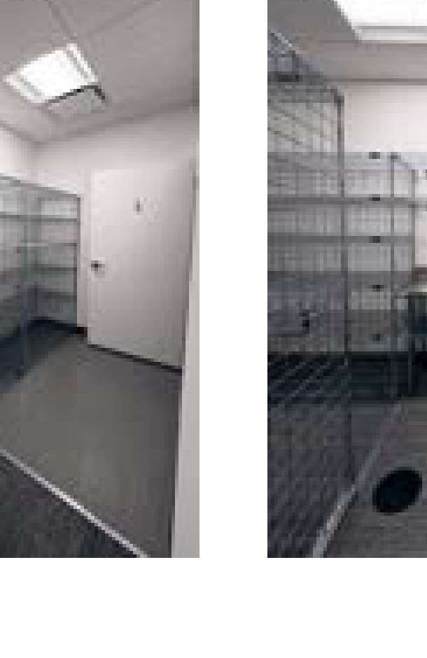 Westborough storage room cubby racks and shelving system installed